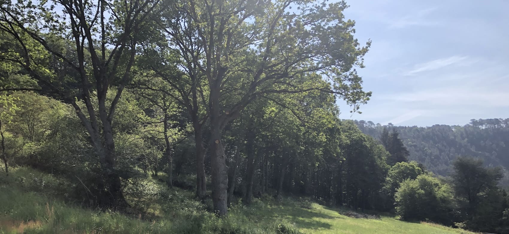 Un gîte en pleine nature